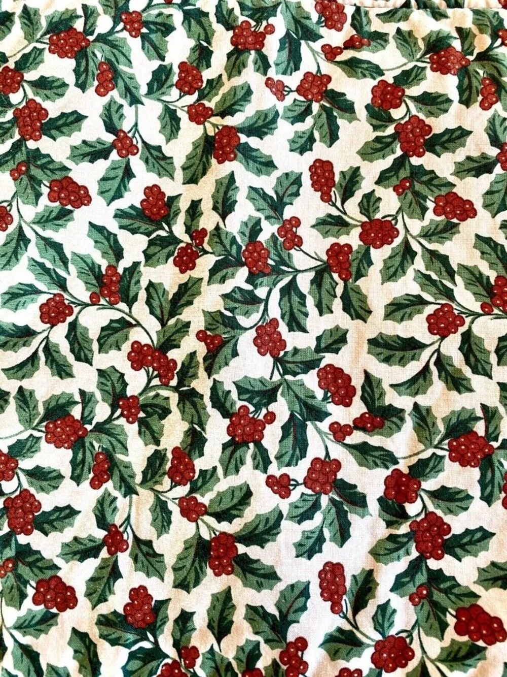 5 Reversible Christmas Holidays Rectangular Placemats